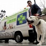 La primera ambulancia para mascotas